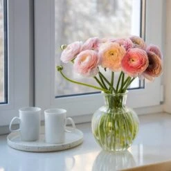 Pastel Ranunculus Mix -Floral Haven Store pastel ranunculus mix pastel persian buttercup mix window still vase