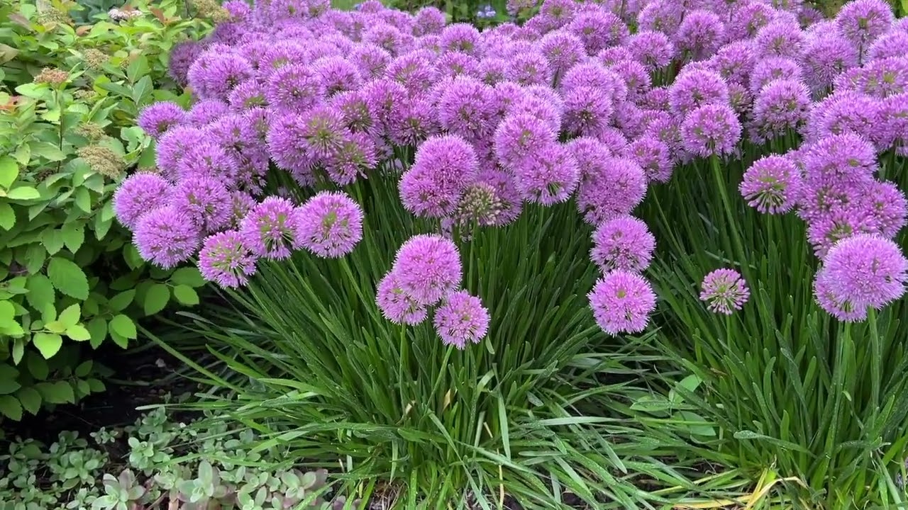 Floral Haven Store -Floral Haven Store